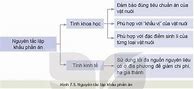 Công Nghệ 7 Bài 11 Kết Nối Tri Thức