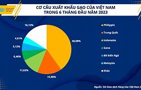 Giá Gạo Xuất Khẩu Sang Eu 2023 Mới Nhất Pdf Download