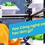 Hình Ảnh Của Công Ty Tnhh Nông Nghiệp Tâm Việt