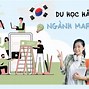 Học Thạc Sĩ Marketing Tại Hàn Quốc